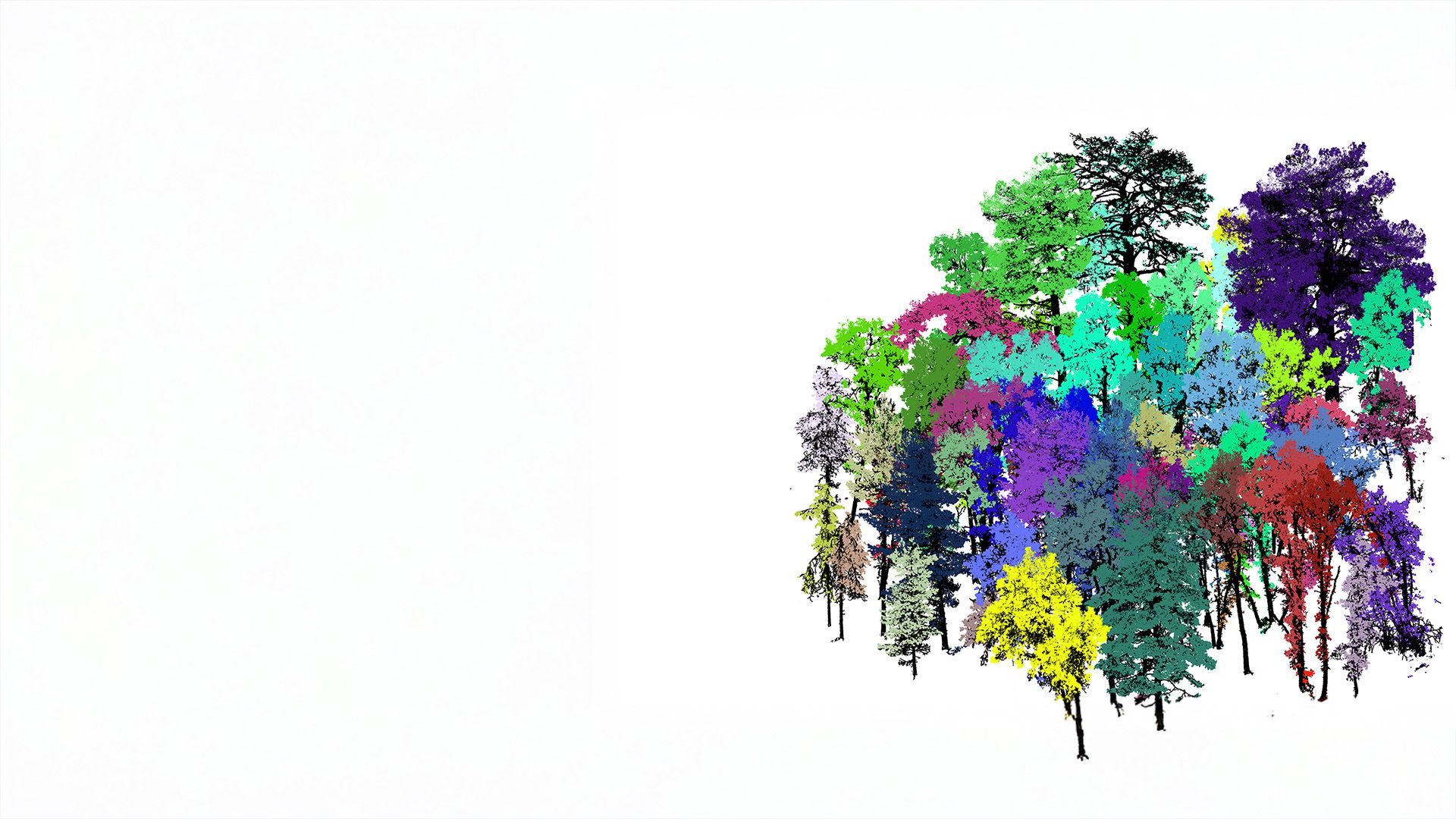 3D visualisation of forest