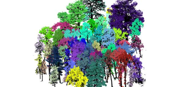 3D visualisation of forest plot. Credit Harry Owen.