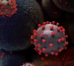Creative rendition of SARS-COV-2 virus particles