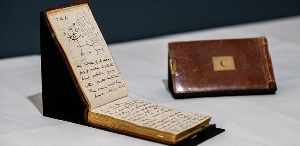 Two of Charles Darwin’s pocket notebooks. Cambridge University Library