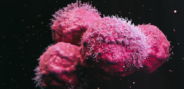 Close-up of cancer cells